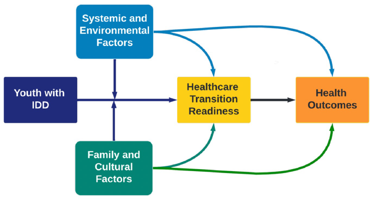 A chart describing the systemic, environmental, family and cultural factors in healthcare transition. 