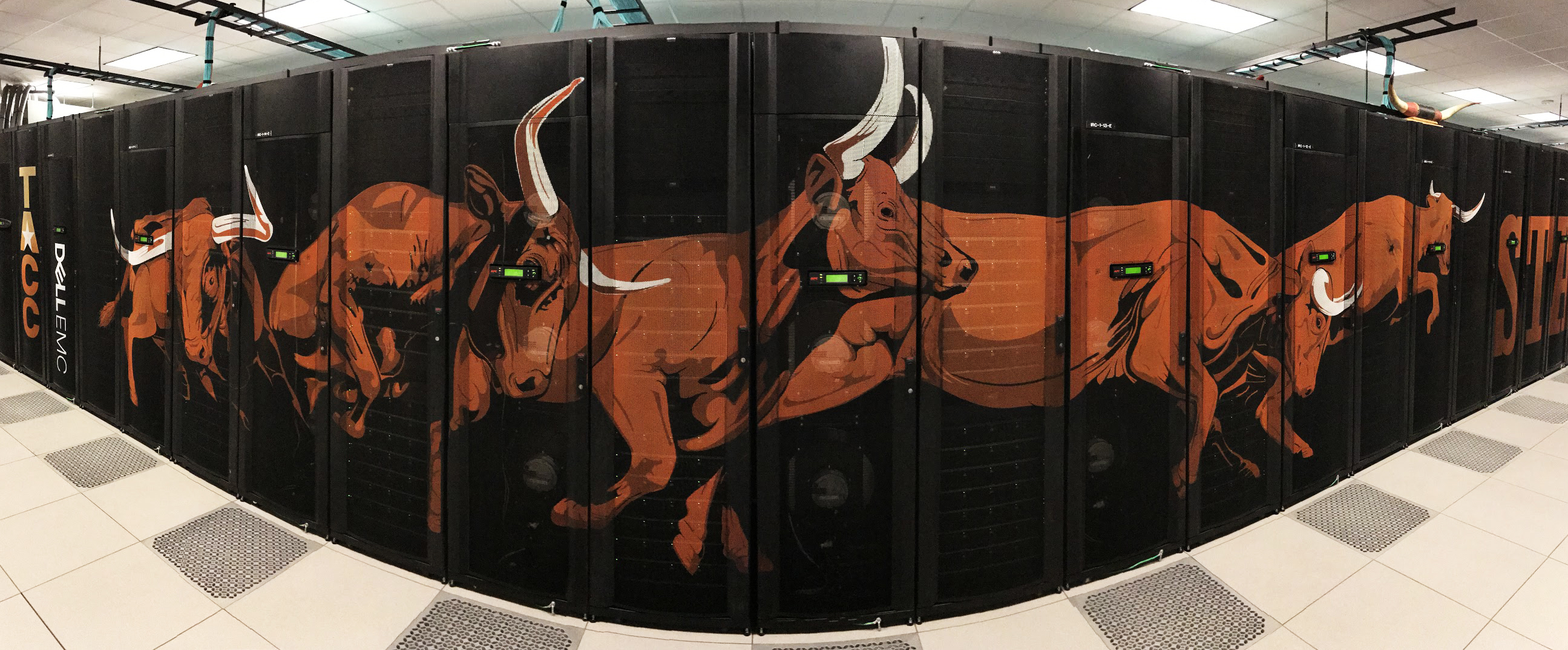 bevo stampede painted on computer servers