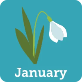 January