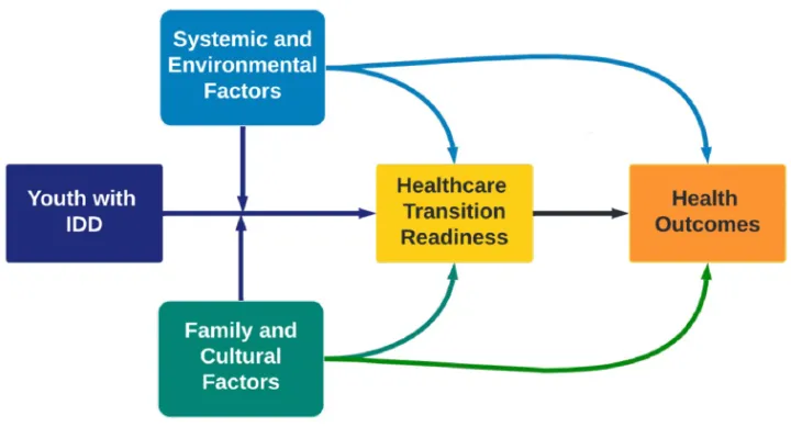 A chart describing the systemic, environmental, family and cultural factors in healthcare transition.