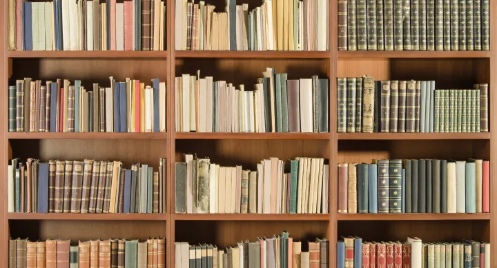 A shelf of library books